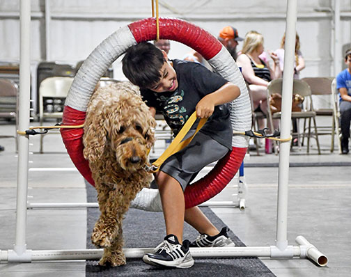 Children gain a wealth of knowledge at Dog Science Camp