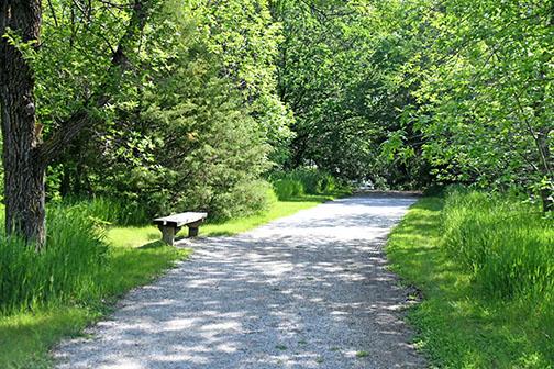 Interns working with JEO Consulting this summer will be focused on a trail study in Aurora to review proposed new trails as well as existing trails, then offer recommendations regarding any potential connections between the two.